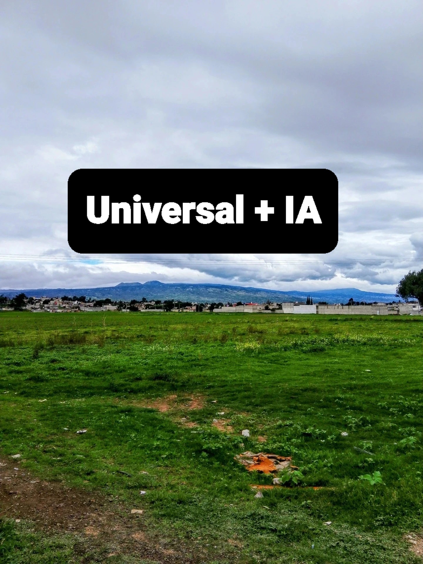 Universal + IA